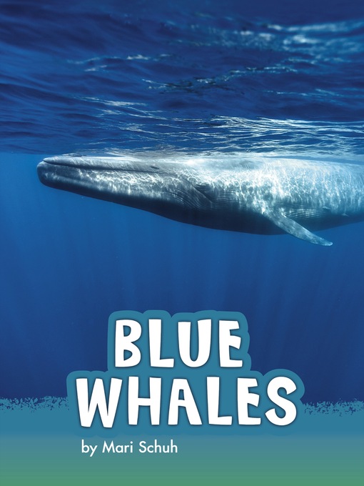 Title details for Blue Whales by Mari Schuh - Available